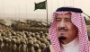 ملاحقة السعودية... ترجمة مباشرة للتباين في مقاربة القضايا الإقليمية العربية ما بين المملكة وأميركا